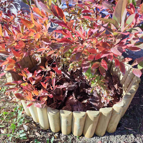 Изображение товара Бордюр садовый Массив-Древ 5/20/250 D50x350x2500