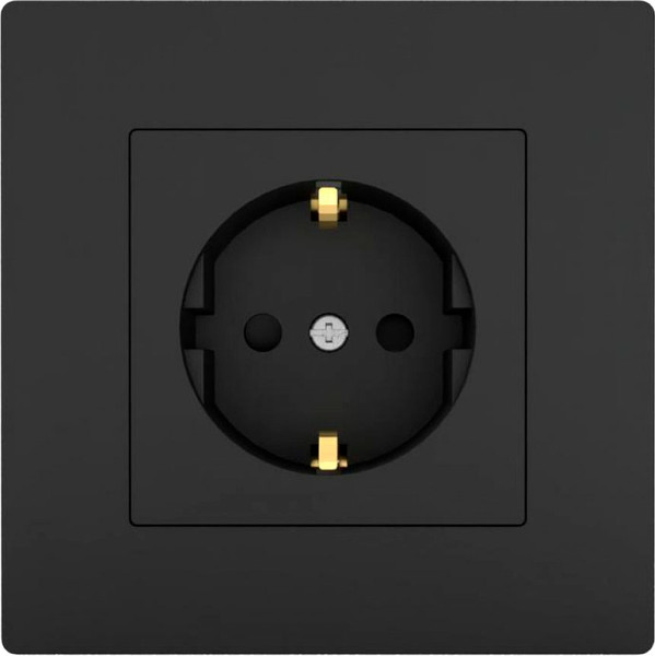 Изображение товара Розетка Tokov Electric Pixel TKE-PX-R1FZSF-C14 (карбон)