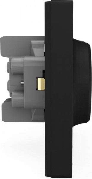 Изображение товара Розетка Tokov Electric Pixel TKE-PX-R2FZSF-C14 (карбон)