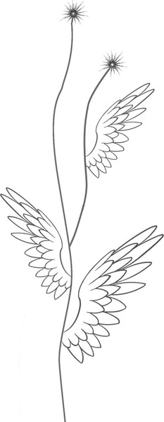 Изображение товара Книга АСТ Парень с ангельскими крыльями, твердая обложка (Неволина Екатерина)