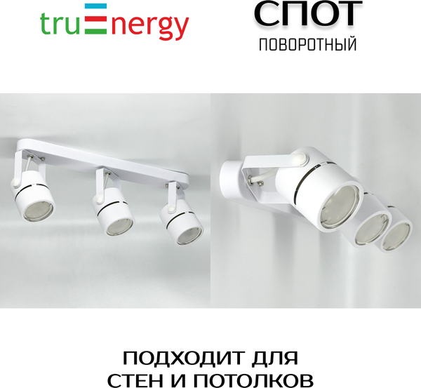Изображение товара Спот Truenergy 21357