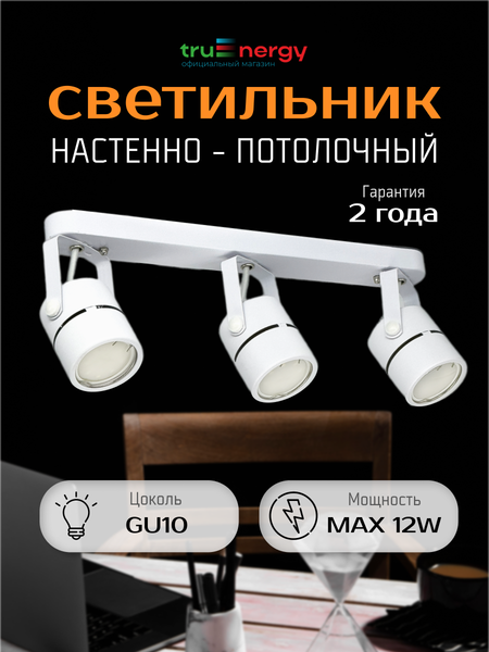 Изображение товара Спот Truenergy 21357