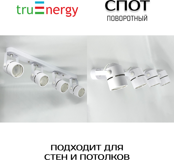Изображение товара Спот Truenergy 21359