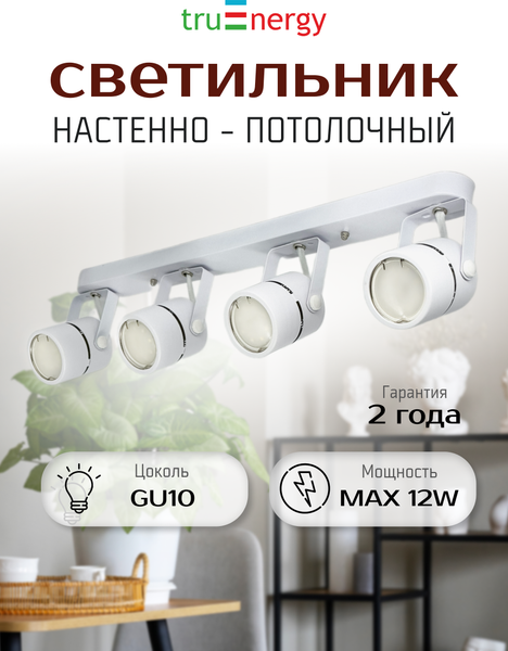 Изображение товара Спот Truenergy 21359