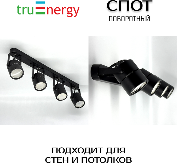 Изображение товара Спот Truenergy 21358