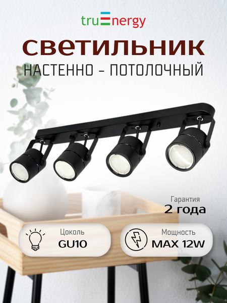 Изображение товара Спот Truenergy 21358