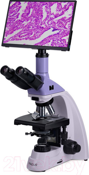 Изображение товара Микроскоп оптический Magus Bio D250TL LCD / 83011