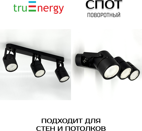 Изображение товара Спот Truenergy 21356