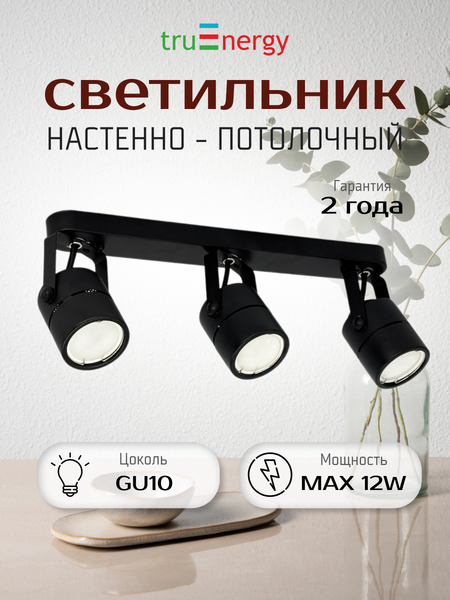 Изображение товара Спот Truenergy 21356