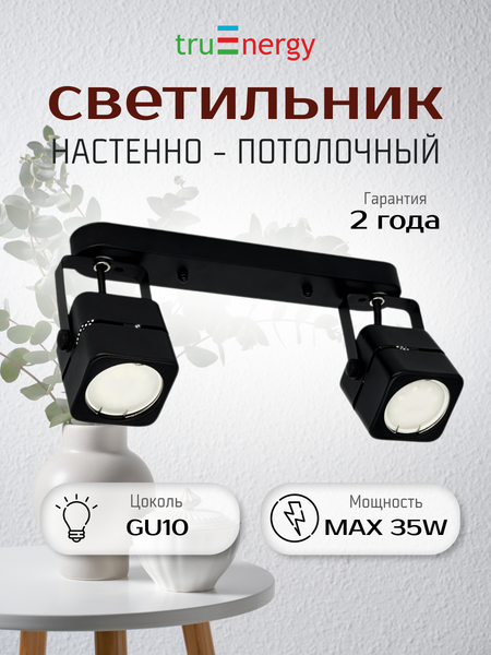 Изображение товара Спот Truenergy 21355