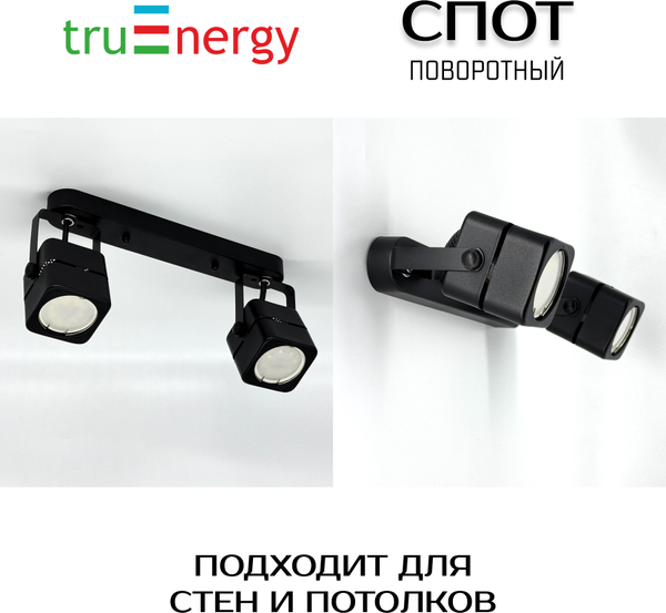 Изображение товара Спот Truenergy 21355