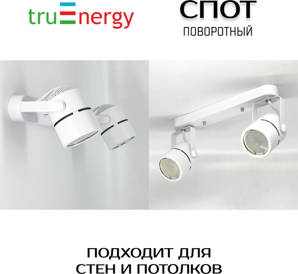 Изображение товара Спот Truenergy 21354