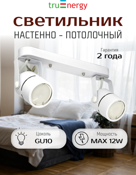 Изображение товара Спот Truenergy 21354