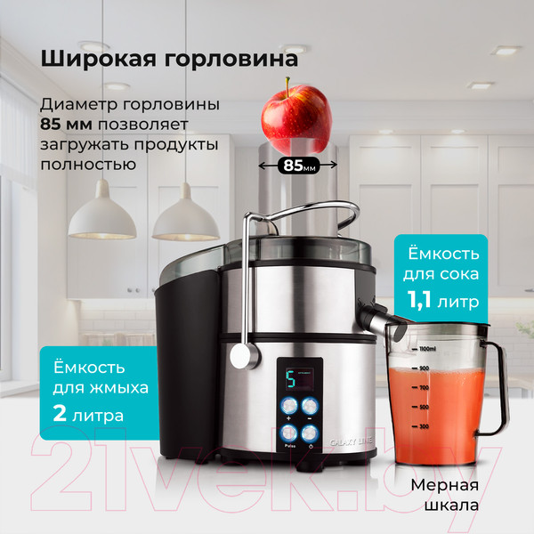 Изображение товара Соковыжималка электрическая Galaxy Line GL 0808