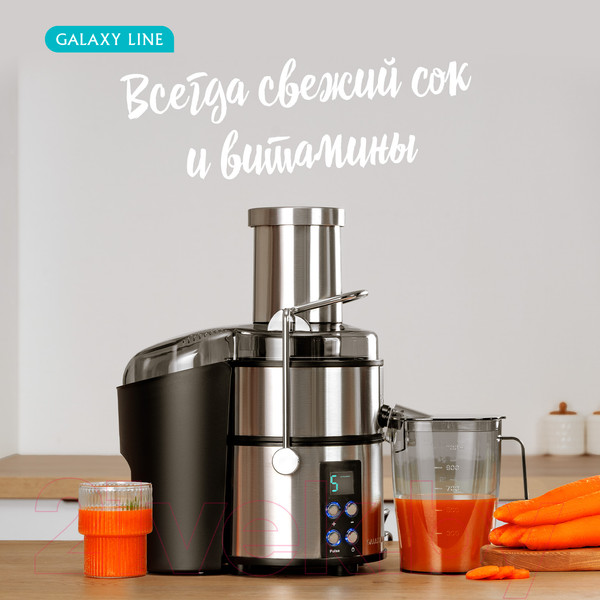 Изображение товара Соковыжималка электрическая Galaxy Line GL 0808
