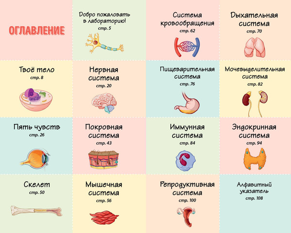 Изображение товара Энциклопедия Эксмо Тело человека. Домашняя лаборатория для детей, твердая обложка (Бетти Чой)
