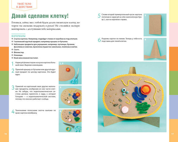 Изображение товара Энциклопедия Эксмо Тело человека. Домашняя лаборатория для детей, твердая обложка (Бетти Чой)