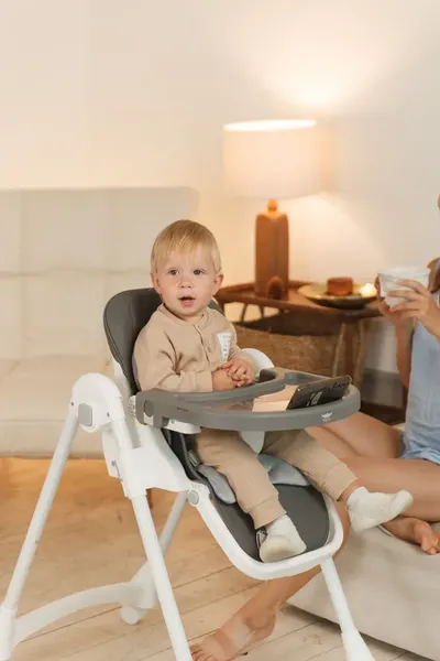 Изображение товара Стульчик для кормления Martin Noir Dory (Fun Grey)