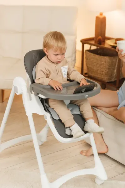 Изображение товара Стульчик для кормления Martin Noir Dory (Fun Grey)