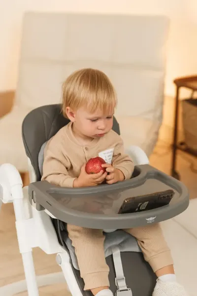 Изображение товара Стульчик для кормления Martin Noir Dory (Fun Grey)