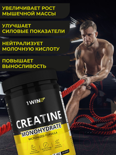 Изображение товара Креатин 1WIN Моногидрат (400г, тропический микс)