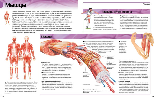 Изображение товара Энциклопедия Азбука Гигантская энциклопедия школьника, твердая обложка