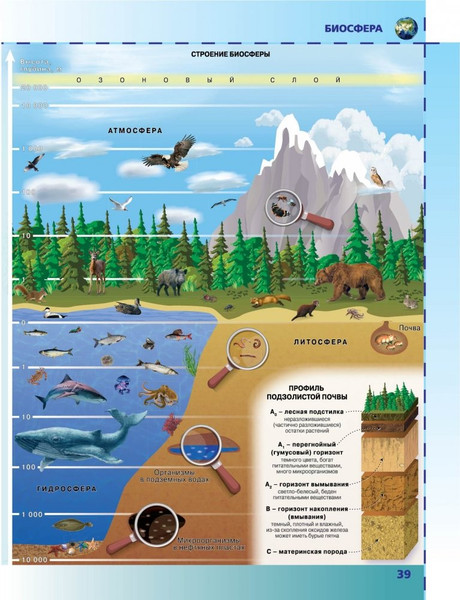 Изображение товара Атлас Белкартография Физическая география 6 класс мягкая обложка