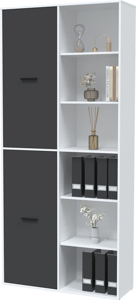 Изображение товара Стеллаж Интерлиния Skill-20 (2) (белый платинум/антрацит)