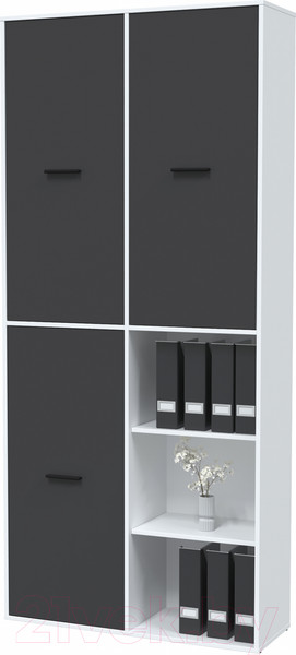 Изображение товара Шкаф Интерлиния Skill-20 (3) (белый платинум/антрацит)