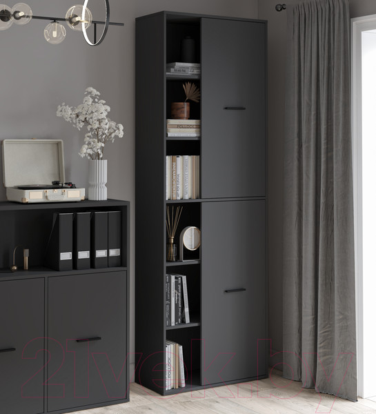 Изображение товара Шкаф Интерлиния Skill-22 (2) (антрацит/антрацит)