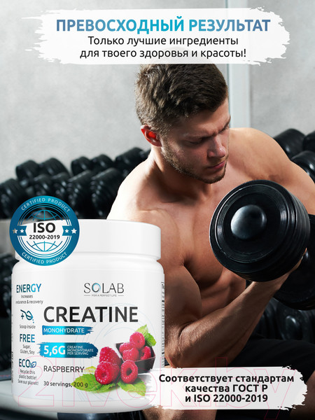 Изображение товара Креатин SOLAB Моногидрат (30 порций, 200гр, малина)