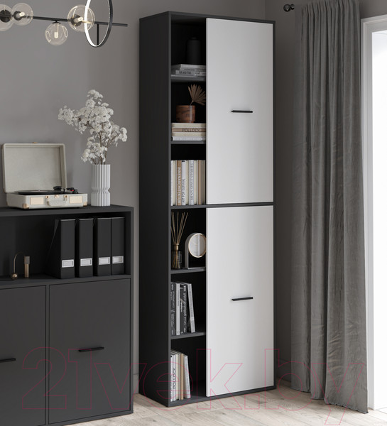 Изображение товара Шкаф Интерлиния Skill-22 (2) (антрацит/белый платинум)