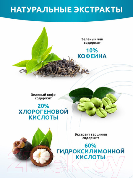 Изображение товара L-карнитин SOLAB С зеленым чаем (90 капсул)