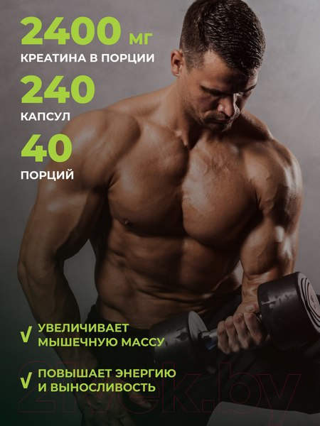 Изображение товара Креатин 1WIN В капсулах (240 капсул)