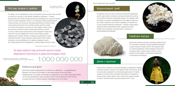 Изображение товара Набор энциклопедий Levenhuk Космос. Микромир 2 тома / 78639