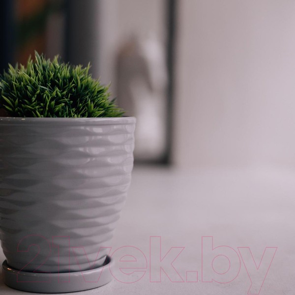 Изображение товара Вазон Вещицы Эллипс Fdtc2 (серый)