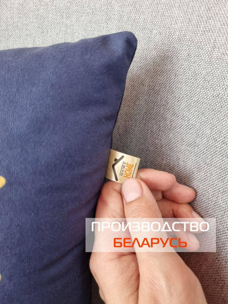 Изображение товара Подушка декоративная MATEX Dino. The Best Dude / 63-58 (синий/красный/желтый)