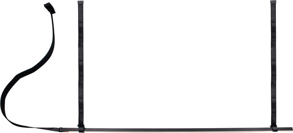 Изображение товара Потолочный светильник Kinklight Элара 08461-120.19 (черный)