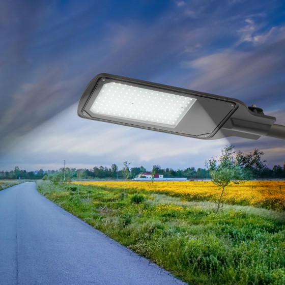 Изображение товара Светильник уличный ЭРА SPP-504-0-50K-100 / Б0062724