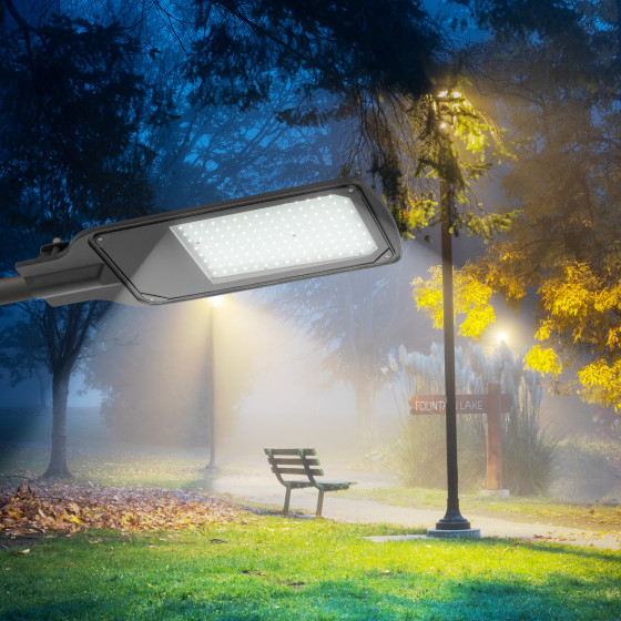 Изображение товара Светильник уличный ЭРА SPP-504-0-50K-100 / Б0062724