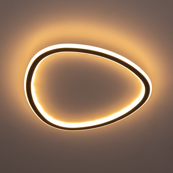 Изображение товара Потолочный светильник Citilux Тrio CL215B241E