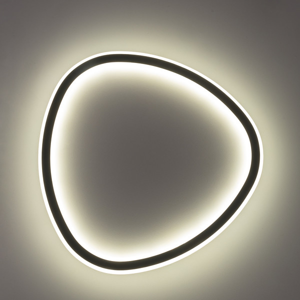 Изображение товара Потолочный светильник Citilux Тrio CL215B241E