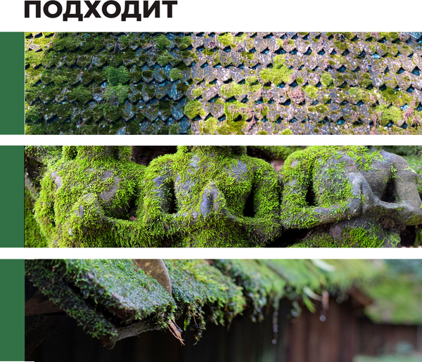 Изображение товара Средство для очистки древесины Prosept Удалитель мха готовый состав (1л)