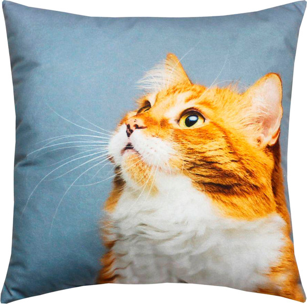 Изображение товара Подушка декоративная MATEX Fantasy Animals. Рыжий кот / 58-878 (серый/оранжевый/белый)
