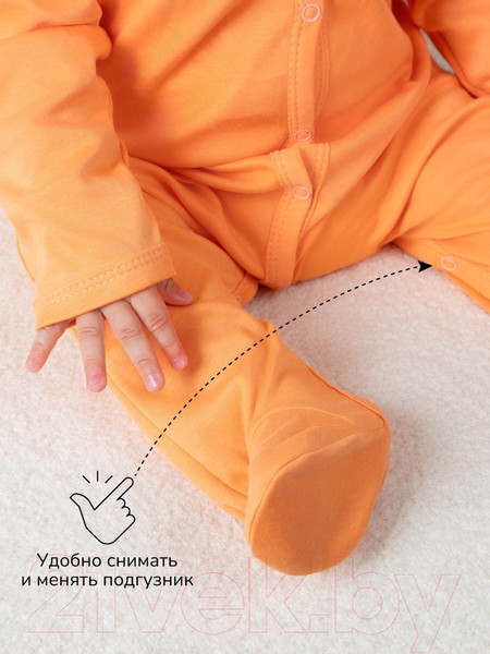 Изображение товара Комплект одежды для малышей Amarobaby Nature / AB-OD23-3101N/0587-68 (оранжевый/морковки, р.68-74)