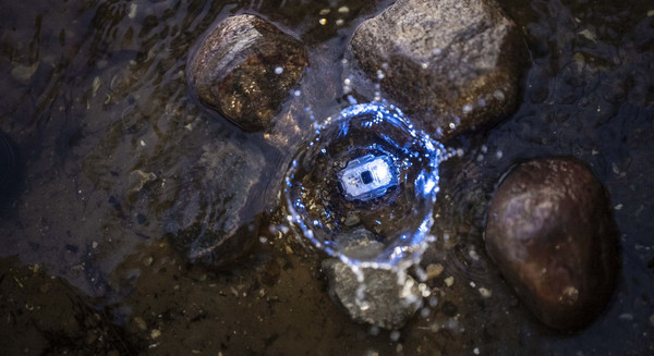 Изображение товара Фонарь Armytek Crystal USB-C / F07102G (серый)