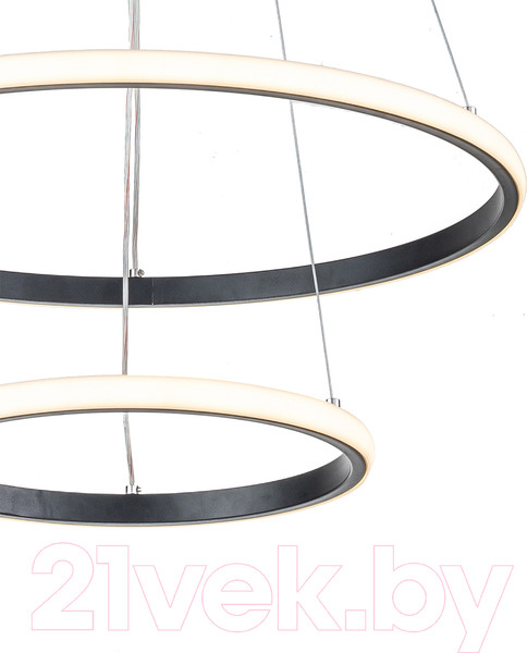 Изображение товара Потолочный светильник ESCADA 10228/2 LED (черный)