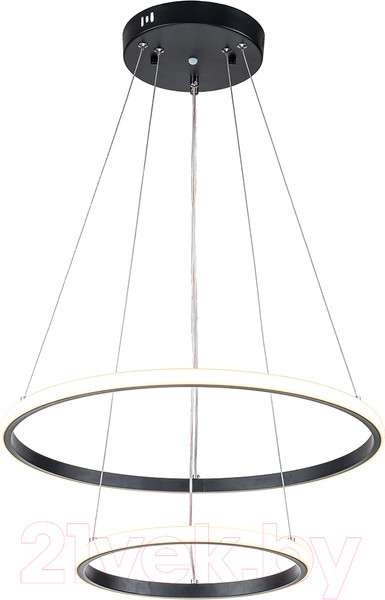 Изображение товара Потолочный светильник ESCADA 10228/2 LED (черный)