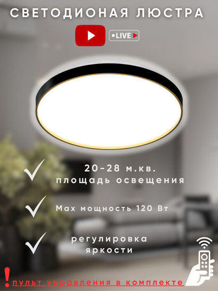 Изображение товара Потолочный светильник Aitin-Pro HY61079 2x60Вт (черный/золото)