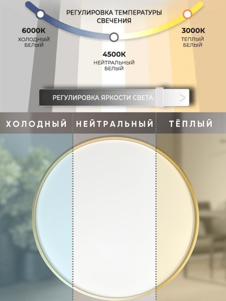 Изображение товара Потолочный светильник Aitin-Pro HY61079 2x60Вт (черный/золото)